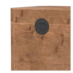 Rendez Vous Déco Coffres Et Malles Petit Coffre En Bois De Pin Recyclé -Coffres et malles Soldes petit coffre en bois de pin recycle 3